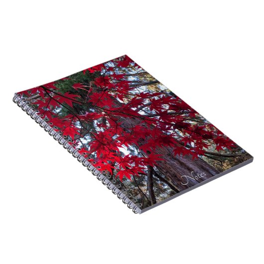 レッドメープル離れズとジャイアントセコイア ノートブック (右側)