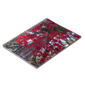 レッドメープル離れズとジャイアントセコイア ノートブック (左側)