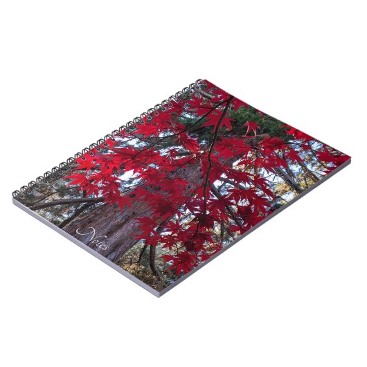 レッドメープル離れズとジャイアントセコイア ノートブック (左側)