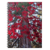 レッドメープル離れズとジャイアントセコイア ノートブック (正面)