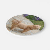 レッドラサアプソ犬 ペーパープレート (アングル)