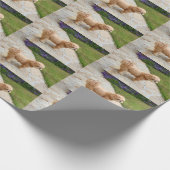 レッドラサアプソ犬 ラッピングペーパー (角)