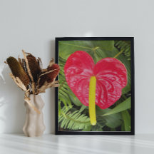 レッドラチェーフ開花フローラ