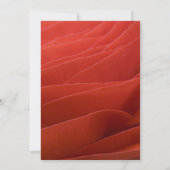 レッドラヌカルス花びらズスウィート16バースデーパーティー 招待状 (裏面)