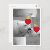 レッドラブポーラーベア ポストカード (正面/裏面)