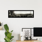 レッドランズカリフォルニア写真1907 ポスター (ホームオフィス)