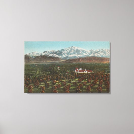 レッドランズCA – マウンテン&オーチャードシーン キャンバスプリント (正面)