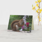 レッドリス誕生日 カード (黄色い花)