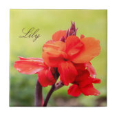 レッドリリー名前をカスタムする タイル (正面)