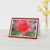 レッドリリー2 カード (黄色い花)