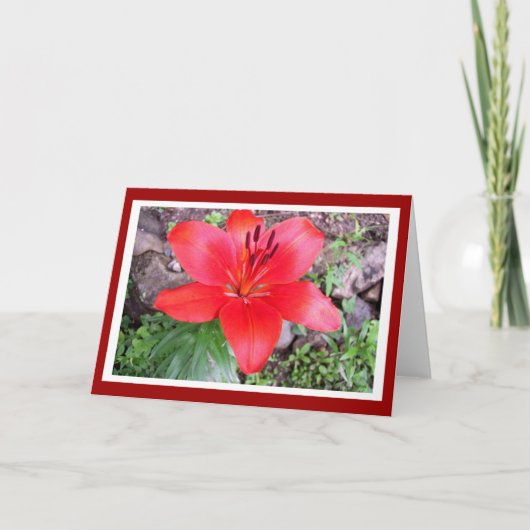 レッドリリー2 カード (正面)