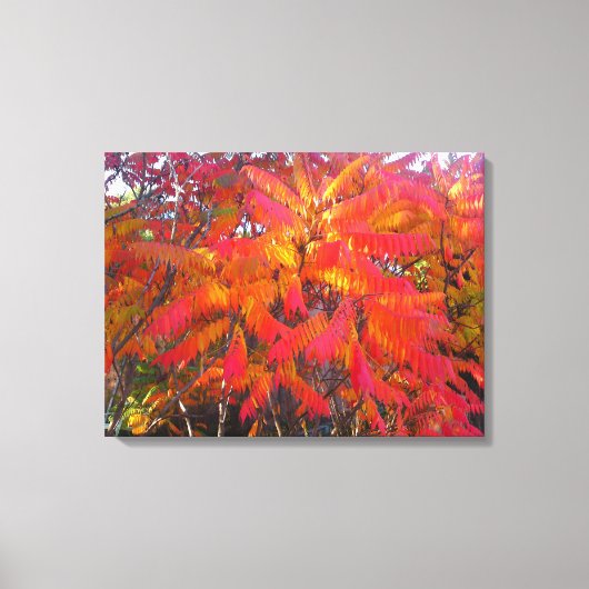 レッドリーフツリー3 Canvas Print キャンバスプリント (正面)