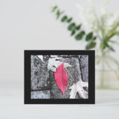 レッドリーフポストカード ポストカード (スタンド正面)