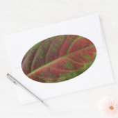 レッドリーフ閉じるオーバルシール，シーラー，ラベル 楕円形シール (封筒)