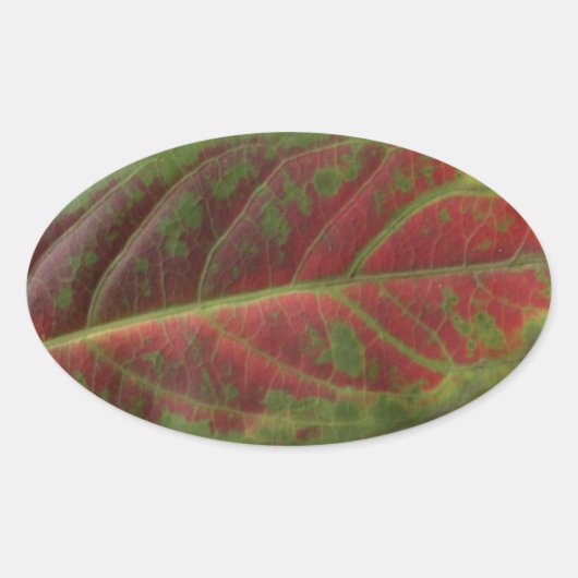 レッドリーフ閉じるオーバルシール，シーラー，ラベル 楕円形シール (正面)