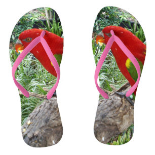 レッドレインボーオーストラリアロリケート、ビーチサンダル ビーチサンダル