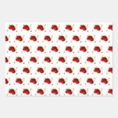 レッドロエレガントーズバタフライ金ゴールド ラッピングペーパーシート (正面3)