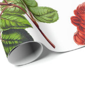 レッドロエレガントーズフローラフラワーパターン| ラッピングペーパー (ロールコーナー)