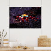 レッドロックカニ ポスター (キッチン)