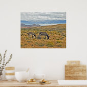 レッドロックキャニオンのワイルドバロス ポスター (キッチン)