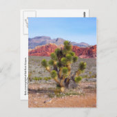 レッドロックキャニオンの早朝のライト ポストカード (正面/裏面)