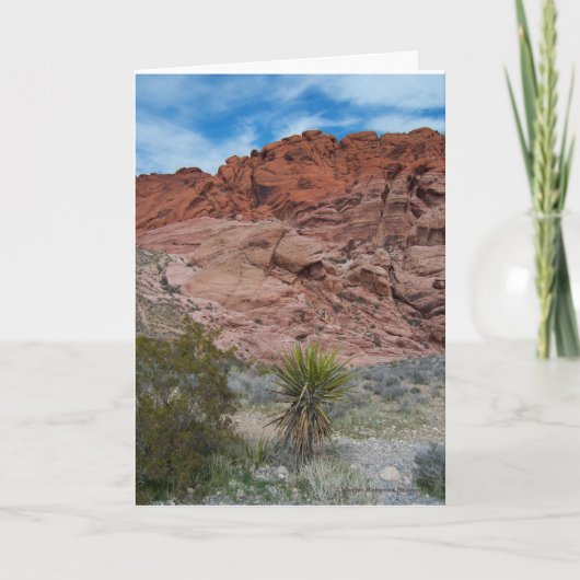 レッドロックキャニオン保全地域 カード (正面)