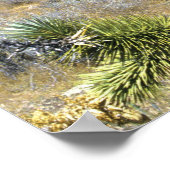 レッドロックキャニオン国家保全地域，ラス ポスター (角)