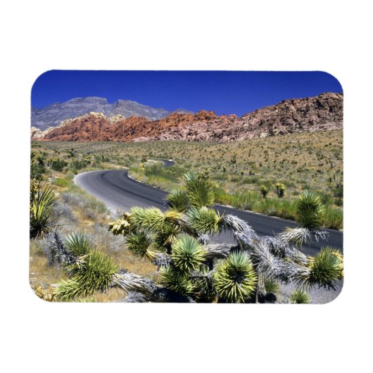 レッドロックキャニオン国家保全地域,ラス マグネット (横)