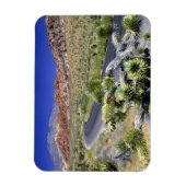 レッドロックキャニオン国家保全地域,ラス マグネット (縦)