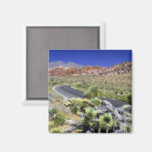 レッドロックキャニオン国家保全地域，ラス マグネット (正面/裏面)