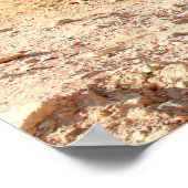 レッドロックキャニオン春マウンテンズバックグラウンド ポスター (角)