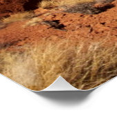 レッドロックキャニオン ポスター (コーナー)