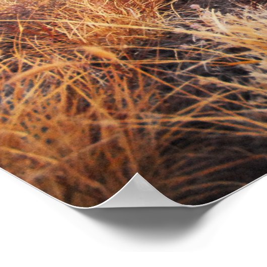 レッドロック ポスター (角)