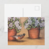 レッドロビンとホワイトジェラニウム ポストカード (正面/裏面)