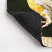 レッドロビン マウスパッド (コーナー)