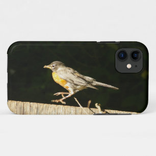 レッドロビン iPhone 11 ケース