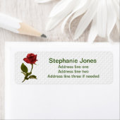 レッドローズとステム – 花の写真 ラベル (インサイチュ)