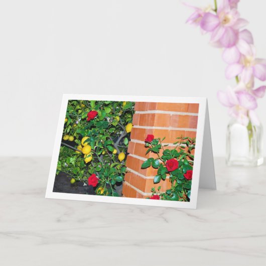 レッドローズアンドレモンズ カード (蘭)