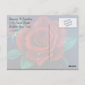 レッドローズオイルペインティングバラありがとう ポストカード (裏面)