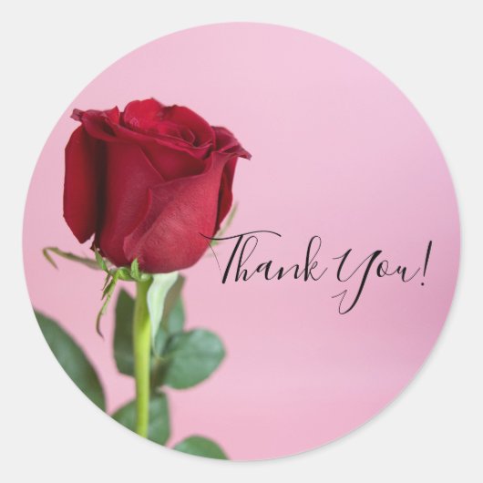 レッドローズオンピンクエレガントロマンチック ラウンドシール (正面)