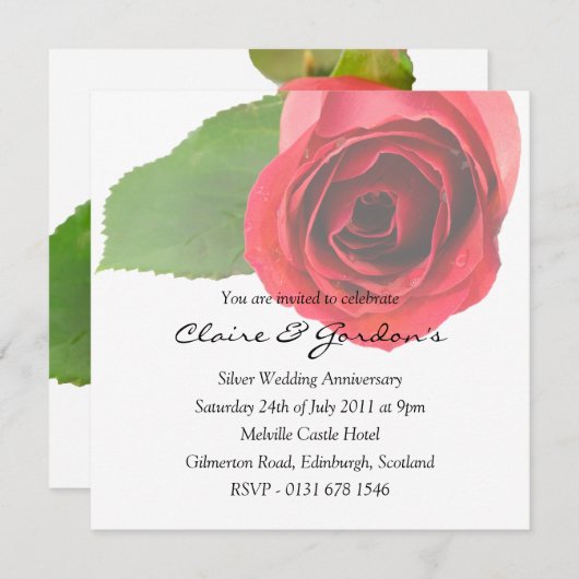 レッドローズオンホワイトアンビナシーパーティの招待状 招待状 (正面/裏面)