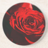 レッドローズクローズアップ写真 コースター (正面)