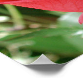 レッドローズクローズプリント ポスター (角)