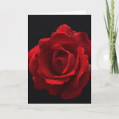 レッドローズグッチナ カード (正面)