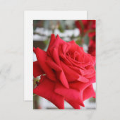 レッドローズスコットランド誕生日カード詩 (正面/裏面)