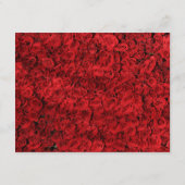 レッドローズハート保存日 エンクロージャーカード (裏面)