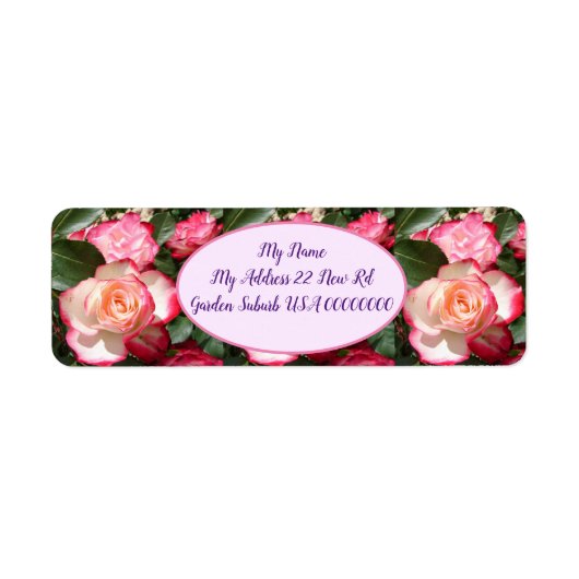 レッドローズバラホワイトフラワーフローラコテージガーデン ラベル (正面)