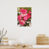 レッドローズバラホワイトフローラフラワーガーデンポスター ポスター (キッチン)