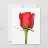 レッドローズパーティの招待状 招待状 (裏面)