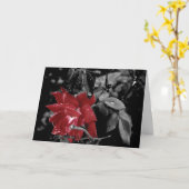 レッドローズフォト「ハッピーバレンタインデー!」 あいさつ カード (黄色い花)